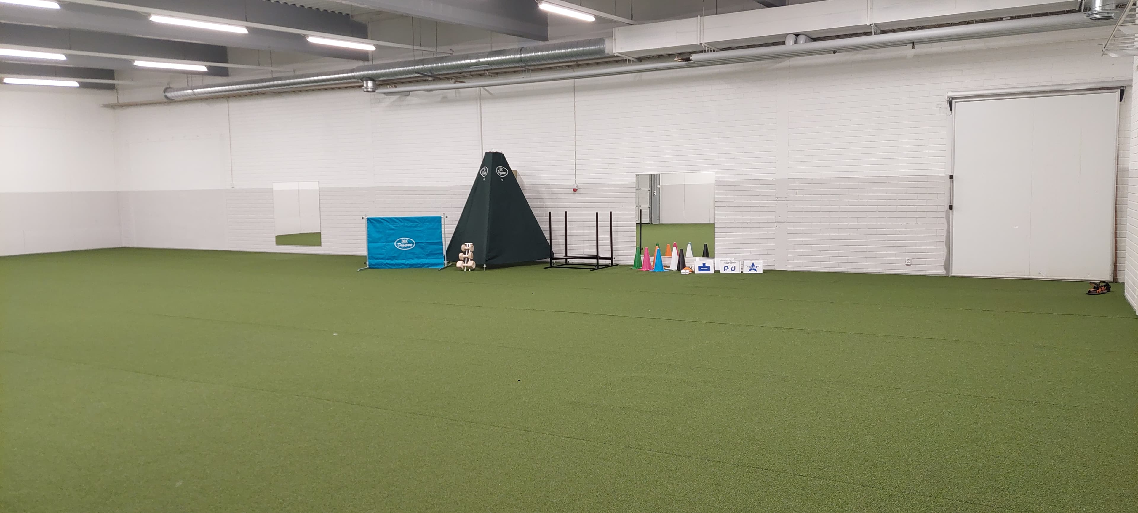 Koira treenaa areenalla